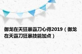 御龙在天狂暴霸刀心得2019（御龙在天霸刀狂暴技能加点）