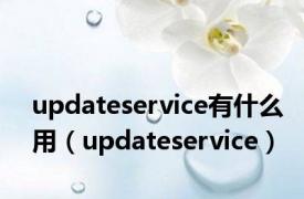 updateservice有什么用（updateservice）