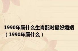 1990年属什么生肖配对最好婚姻（1990年属什么）