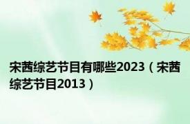 宋茜综艺节目有哪些2023（宋茜综艺节目2013）