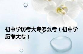 初中学历考大专怎么考（初中学历考大专）