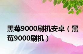 黑莓9000刷机安卓（黑莓9000刷机）