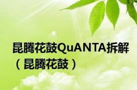 昆腾花鼓QuANTA拆解（昆腾花鼓）