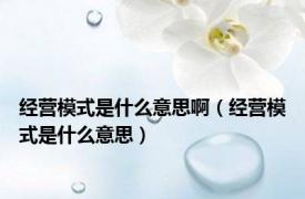 经营模式是什么意思啊（经营模式是什么意思）