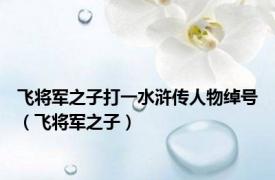 飞将军之子打一水浒传人物绰号（飞将军之子）