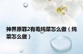 神界原罪2有毒炖菜怎么做（炖菜怎么做）