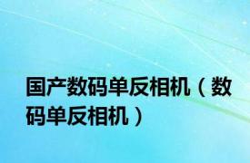 国产数码单反相机（数码单反相机）