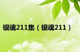 银魂211集（银魂211）