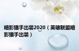 暗影猎手出装2020（英雄联盟暗影猎手出装）