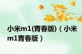 小米m1(青春版)（小米m1青春版）