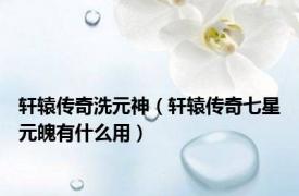 轩辕传奇洗元神（轩辕传奇七星元魄有什么用）