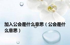 加入公会是什么意思（公会是什么意思）