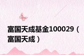 富国天成基金100029（富国天成）