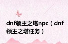 dnf领主之塔npc（dnf领主之塔任务）