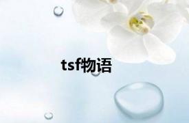 tsf物语