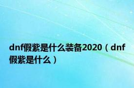 dnf假紫是什么装备2020（dnf假紫是什么）