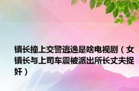 镇长撞上交警逃逸是啥电视剧（女镇长与上司车震被派出所长丈夫捉奸）