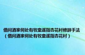 借问酒家何处有牧童遥指杏花村修辞手法（借问酒家何处有牧童遥指杏花村）