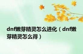 dnf嫩芽精灵怎么进化（dnf嫩芽精灵怎么得）