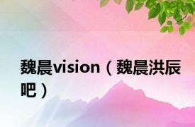 魏晨vision（魏晨洪辰吧）