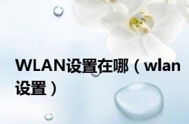 WLAN设置在哪（wlan设置）