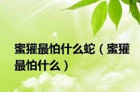 蜜獾最怕什么蛇（蜜獾最怕什么）