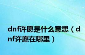 dnf许愿是什么意思（dnf许愿在哪里）