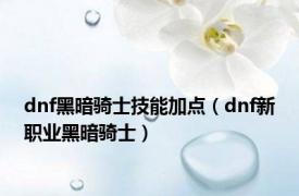 dnf黑暗骑士技能加点（dnf新职业黑暗骑士）