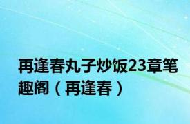 再逢春丸子炒饭23章笔趣阁（再逢春）