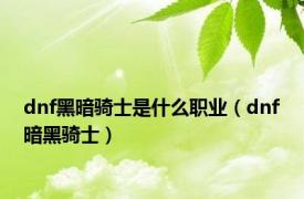 dnf黑暗骑士是什么职业（dnf暗黑骑士）