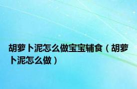 胡萝卜泥怎么做宝宝辅食（胡萝卜泥怎么做）