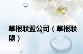 草根联盟公司（草根联盟）