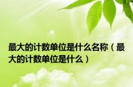 最大的计数单位是什么名称（最大的计数单位是什么）