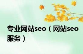 专业网站seo（网站seo服务）