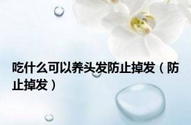 吃什么可以养头发防止掉发（防止掉发）