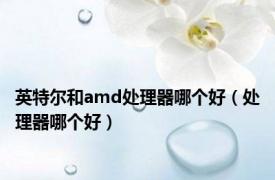 英特尔和amd处理器哪个好（处理器哪个好）