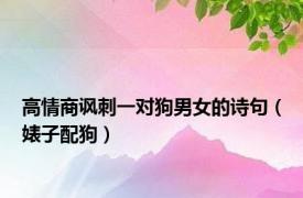 高情商讽刺一对狗男女的诗句（婊子配狗）