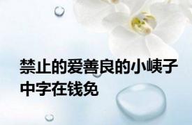 禁止的爱善良的小峓子中字在钱免