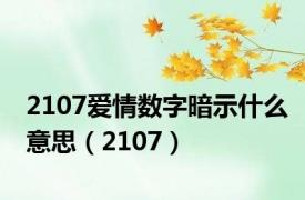 2107爱情数字暗示什么意思（2107）