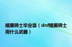 暗黑骑士毕业装（dnf暗黑骑士用什么武器）