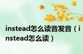 instead怎么读音发音（instead怎么读）