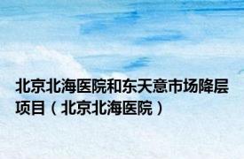 北京北海医院和东天意市场降层项目（北京北海医院）