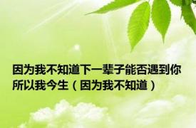 因为我不知道下一辈子能否遇到你所以我今生（因为我不知道）