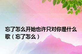 忘了怎么开始也许只对你是什么歌（忘了怎么）