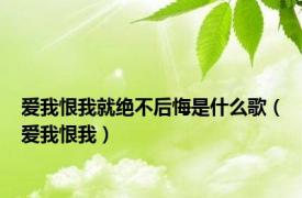 爱我恨我就绝不后悔是什么歌（爱我恨我）