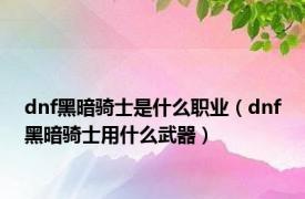 dnf黑暗骑士是什么职业（dnf黑暗骑士用什么武器）