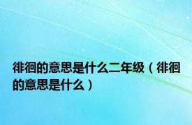 徘徊的意思是什么二年级（徘徊的意思是什么）