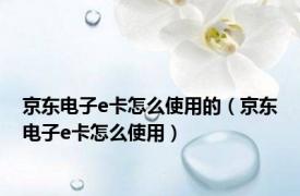 京东电子e卡怎么使用的（京东电子e卡怎么使用）