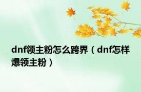 dnf领主粉怎么跨界（dnf怎样爆领主粉）