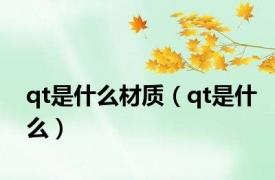 qt是什么材质（qt是什么）